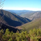DSCN5549