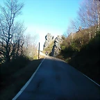 DSCN5547