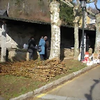 DSCN2466