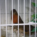 IMGP0028