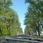 P1120252 (Small)