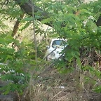 P1120555 (Small)