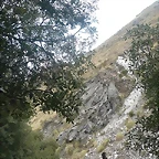 P1120472 (Small)