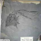 P1120725 (Small)