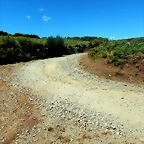DSCN4592