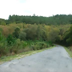 DSCN5823