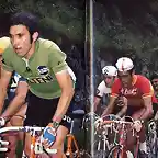 Merckx-Tour1972-Oca?a-Poulidor-Zoetemelk-Thevenet