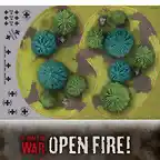 Open-Fire-26