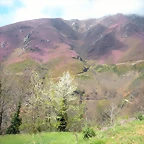 DSCN3936