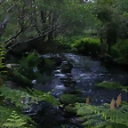 DSCN1178