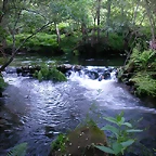 DSCN1188