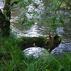 DSCN1190