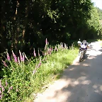 DSCN1156