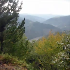 DSCN9290