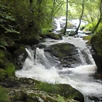 DSCN2805