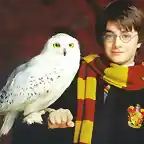 Harry-Potter-Hedwig