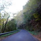DSCN0137