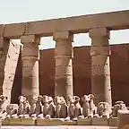 sphinxes-karnak-2
