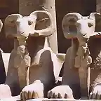 sphinxes-karnak