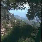 delphi-ruins