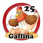 gallina