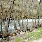 DSCN3680