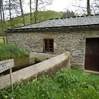 DSCN9331