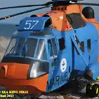 sea king 110