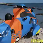 sea king 113