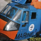 sea king 124