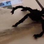 Video Mar?a IG Stories 31-10-2018 (1)