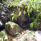 DSCN4926