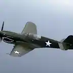 curtiss-p40-warhawk