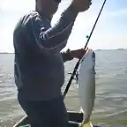 Pesca de lisas en Juan y Juan