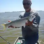 Pesca de lisas en Juan y Juan