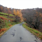 DSCN2142