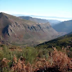 DSCN6883