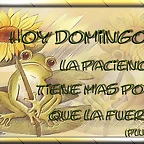 Feliz domingo ranita