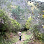 DSCN0630