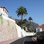 DSCN7284