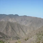 DSCN7354