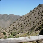 DSCN7385