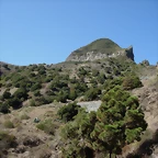 DSCN7278