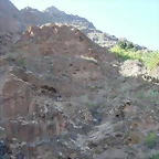 DSCN7299