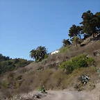 DSCN7340
