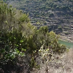 DSCN7332