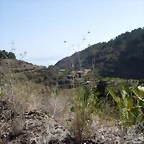 DSCN7342