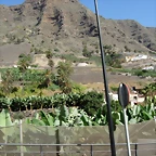 DSCN7288