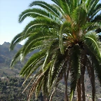 DSCN7356