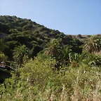 DSCN7279
